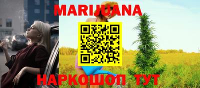 спайс Гагарин