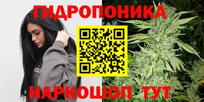 спайс Гагарин