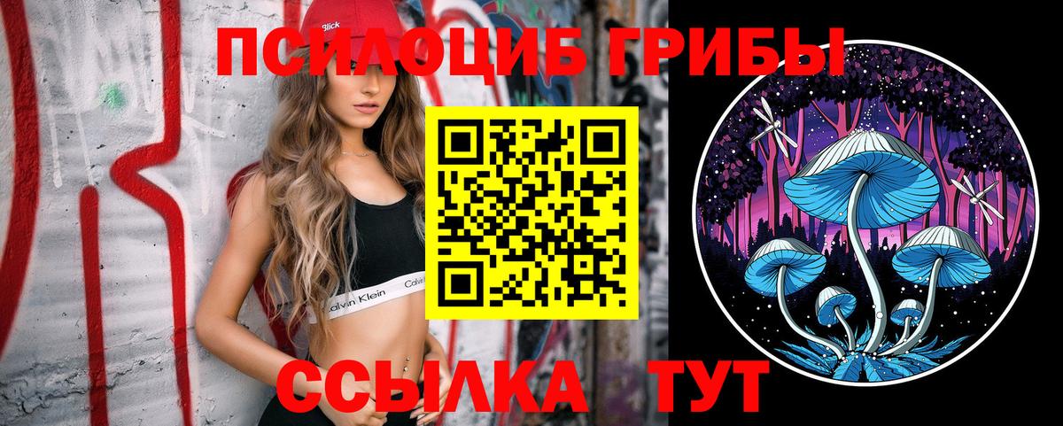 Галлюциногенные грибы Psilocybine cubensis Малоярославец